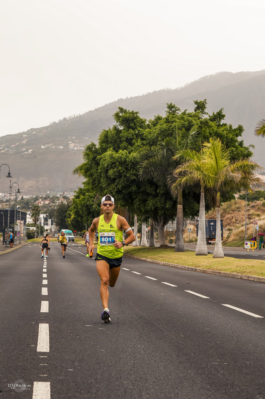 Canary-Run 121