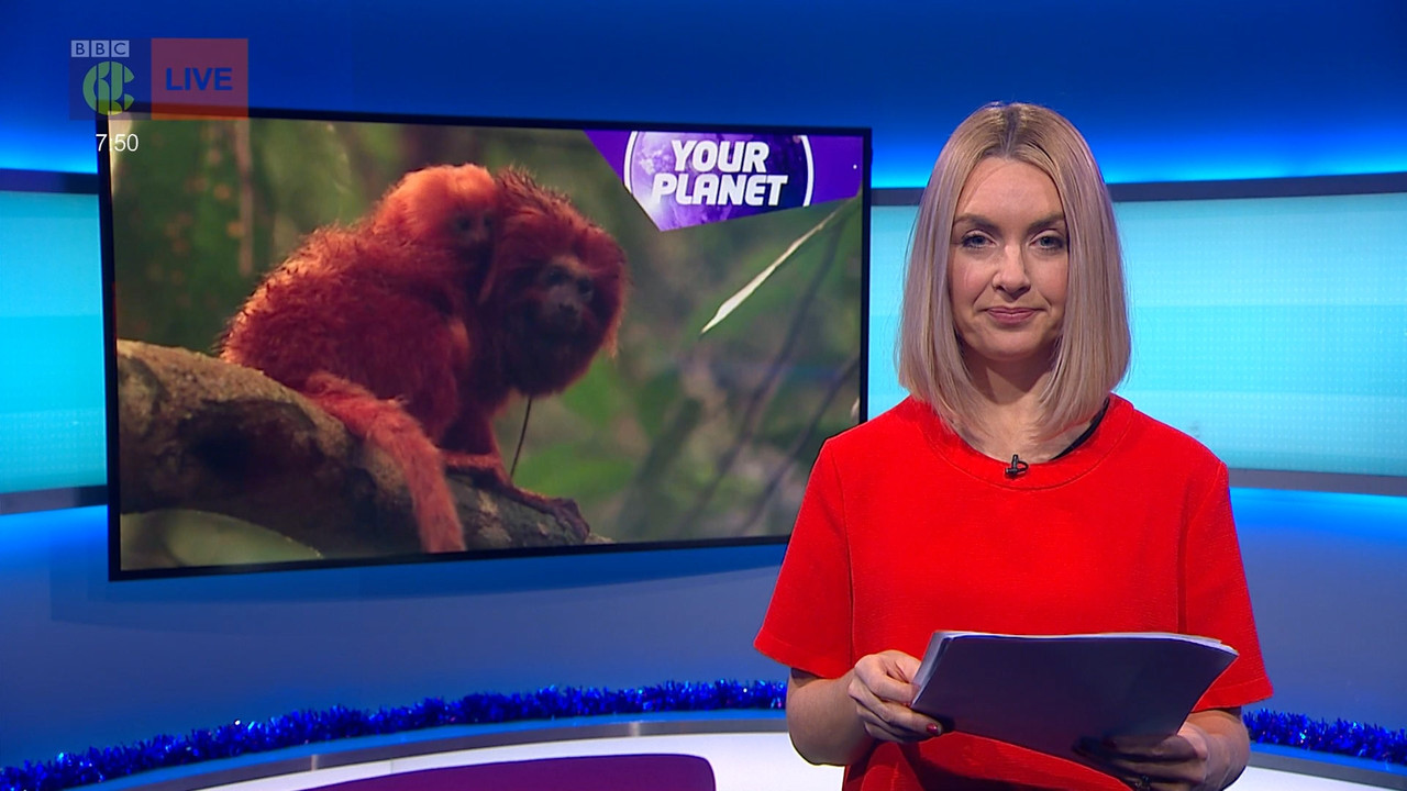 Newsround_20211215_07450755.ts_snapshot_06.46.327