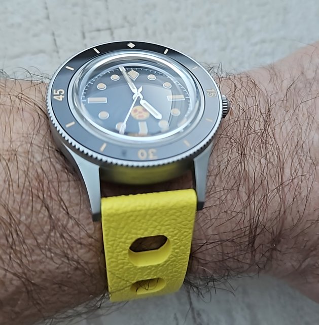 Le club des heureux propriétaires décomplexés de montres "hommage" - tome 10 Ae-1744222385822