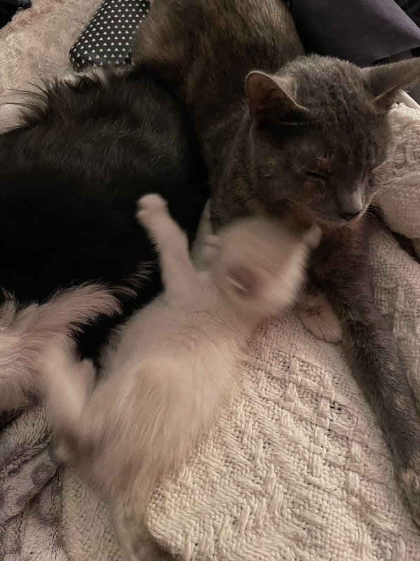 43E22A7D-1EAB-4076-BB4A-3A6E5078F1E3