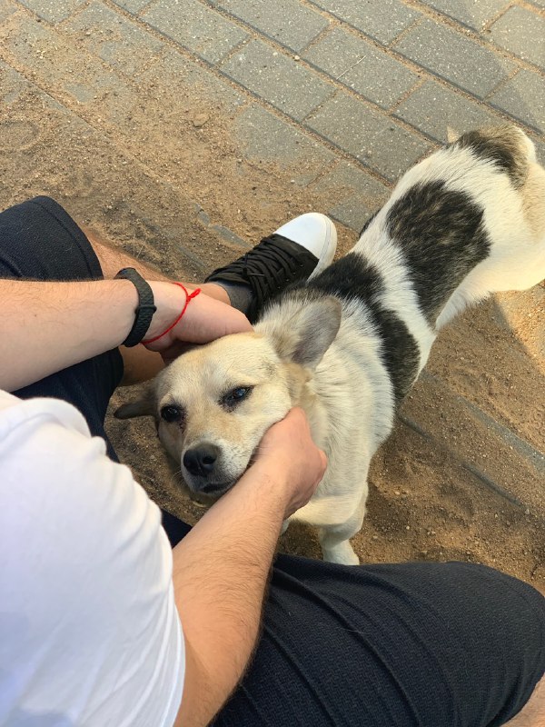 78a6ca3c-92e1-4307-b40b-1f6091ba75cf