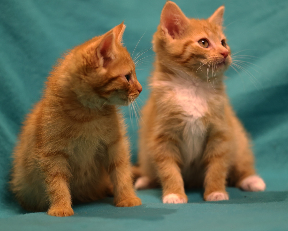 C33E7EAA-2846-47D2-9024-0C5B38A1C990