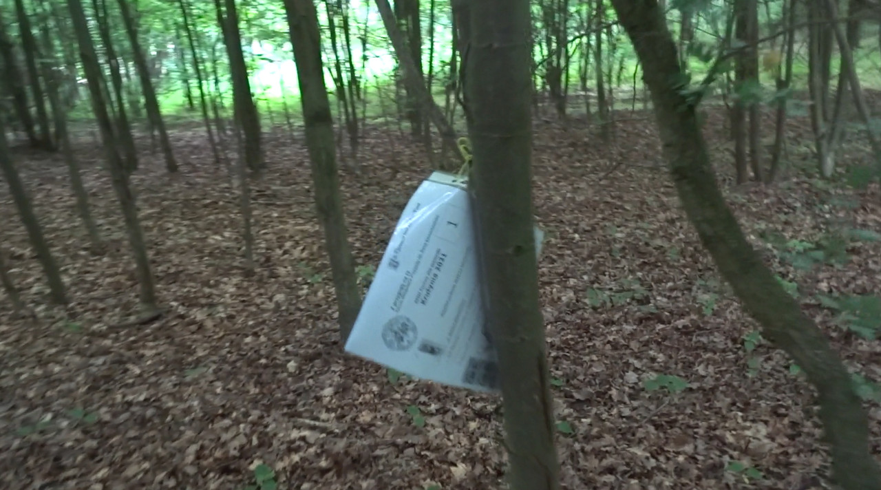 11.18 - Gra terenowa