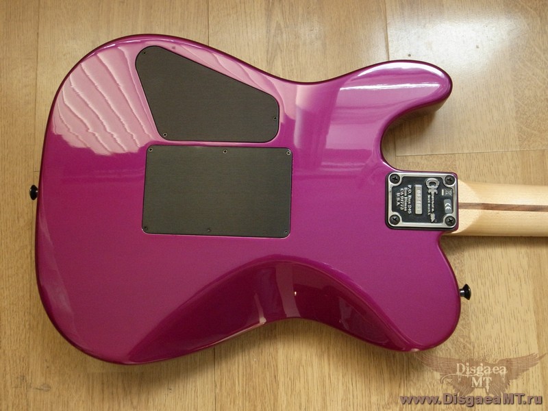 Charvel_San_Dimas_Style_2_2H_bght-prp_019