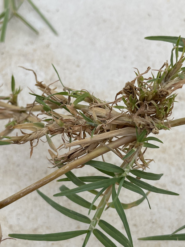 8F0727DA-57DC-41F3-9078-ECB490B8A93F