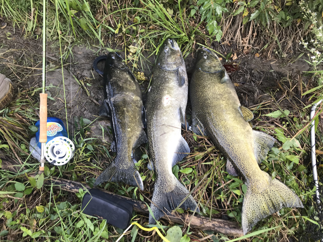 892CA928-F05E-4674-B205-D01C7D3B4E0C