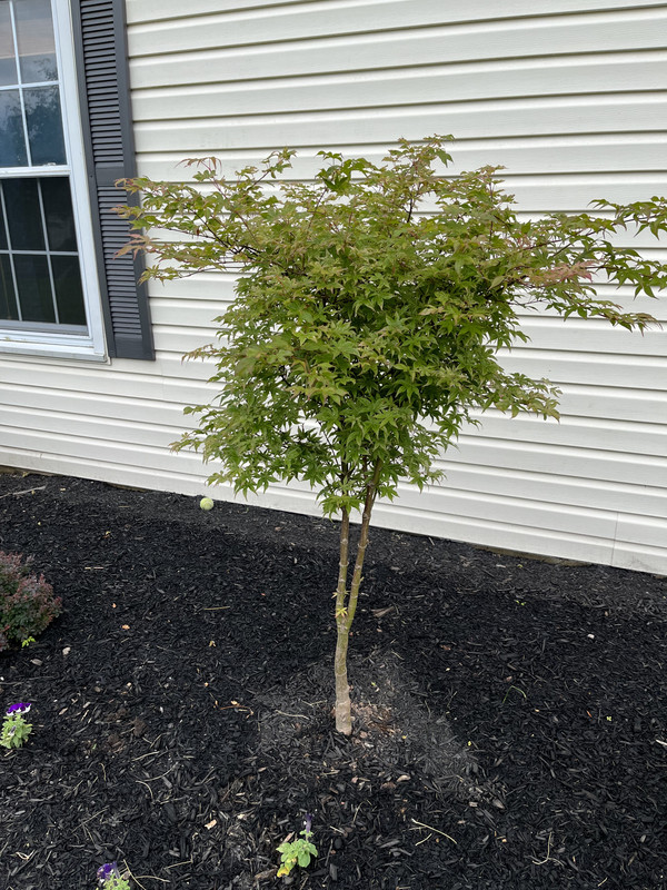 AEA28351-BD1B-4575-9356-848417DD5437