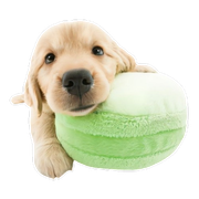 tumblr_d7edaf99a8936aab66afd2b67939a563_faf6f29f_400