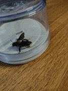 IMG 20260326 230849485 HDR