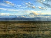 IMG-20241016-170149-01