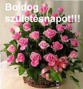 https://i.postimg.cc/vx5x1dw1/be86359f27c122a848277f105517e3a3.jpg