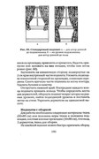 Shyem-shtory-i-podushki-Darya-Kostina-186