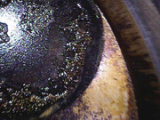 Photo_2025-02-2609_19_30_014