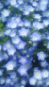 Tumblr-l-1239137827475428