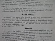 IMG-2671.jpg