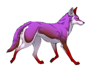 Swiftpaw (10/14/25 - Wild Find)