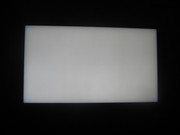 IMG-1331