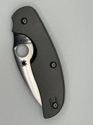 IMG-3252