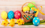 Holidays-Easter-Daffodils-Wood-planks-Eg