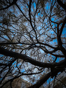 IMG-4363