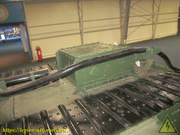 IMG-6983