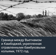 https://i.postimg.cc/vxbGBbPV/photo-2026-07-30-19-28-08.jpg