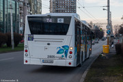 IMG-3611
