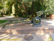 DSCN6717