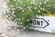 IMG-4190.jpg