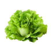 Salade Piece