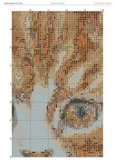 2890431-crosti-ru-color-12