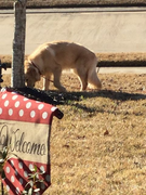 image_2023-02-02_225216886