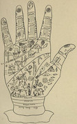 [Obrázky: Indian-Palmistry-Plate-2.jpg]