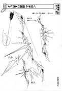 00-Ik-18-Apollon