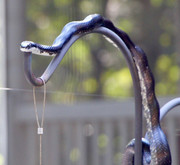 E064159D-939F-4C04-91B5-FDBD46DBC375