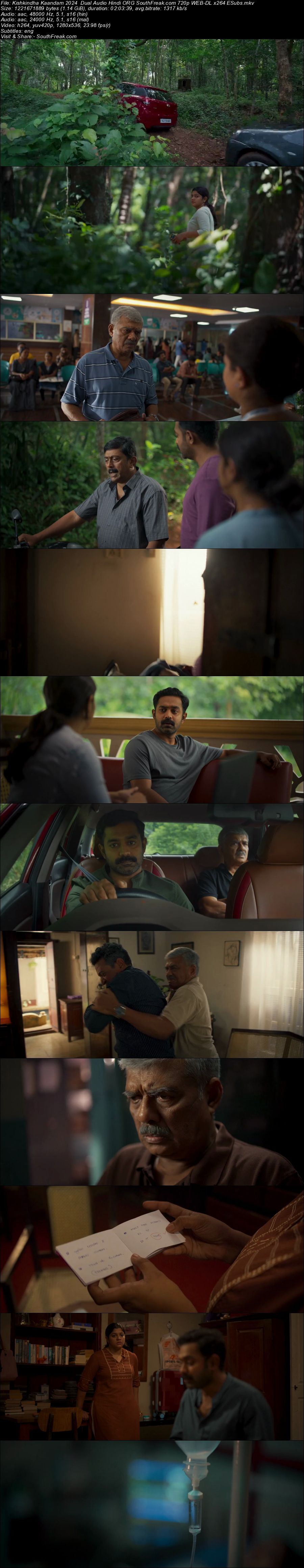 Kishkindha Kaandam 2024 Dual Audio Hindi ORG South Freak com 720p WEB DL x264 ESubs - hdhubflix, hubflix, hubflix hdmovieshub