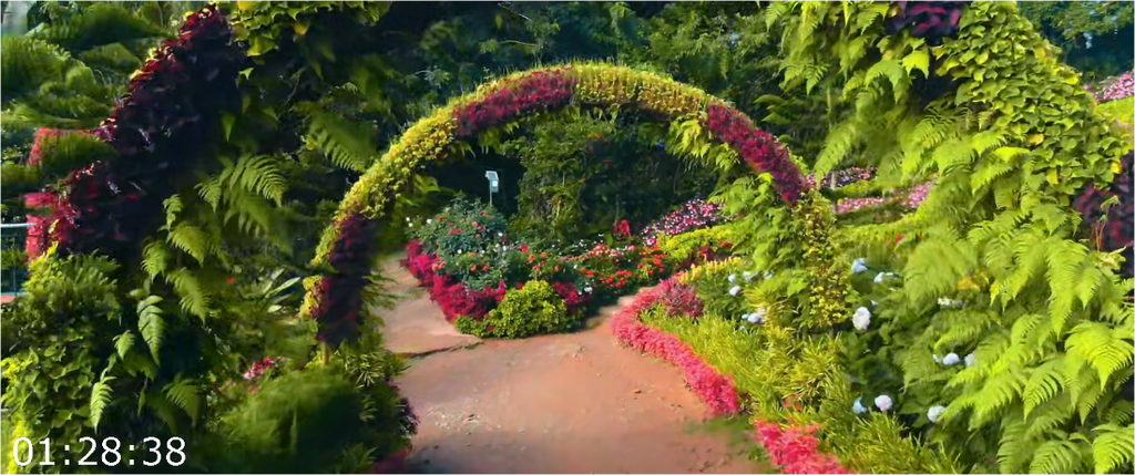 [Image: qvko52fz71nn.png]