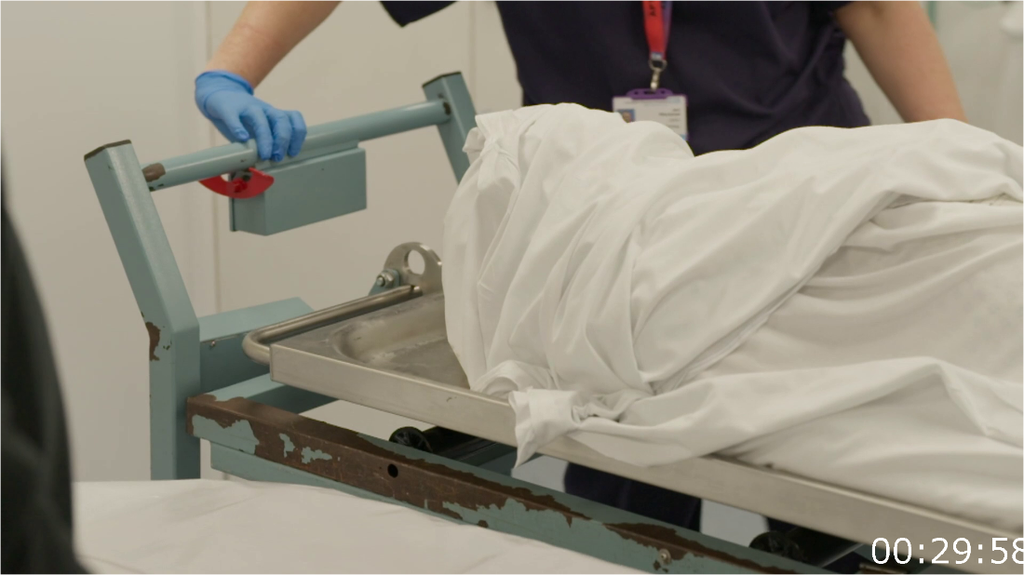 [Image: bfb67fjj2z0z.png]