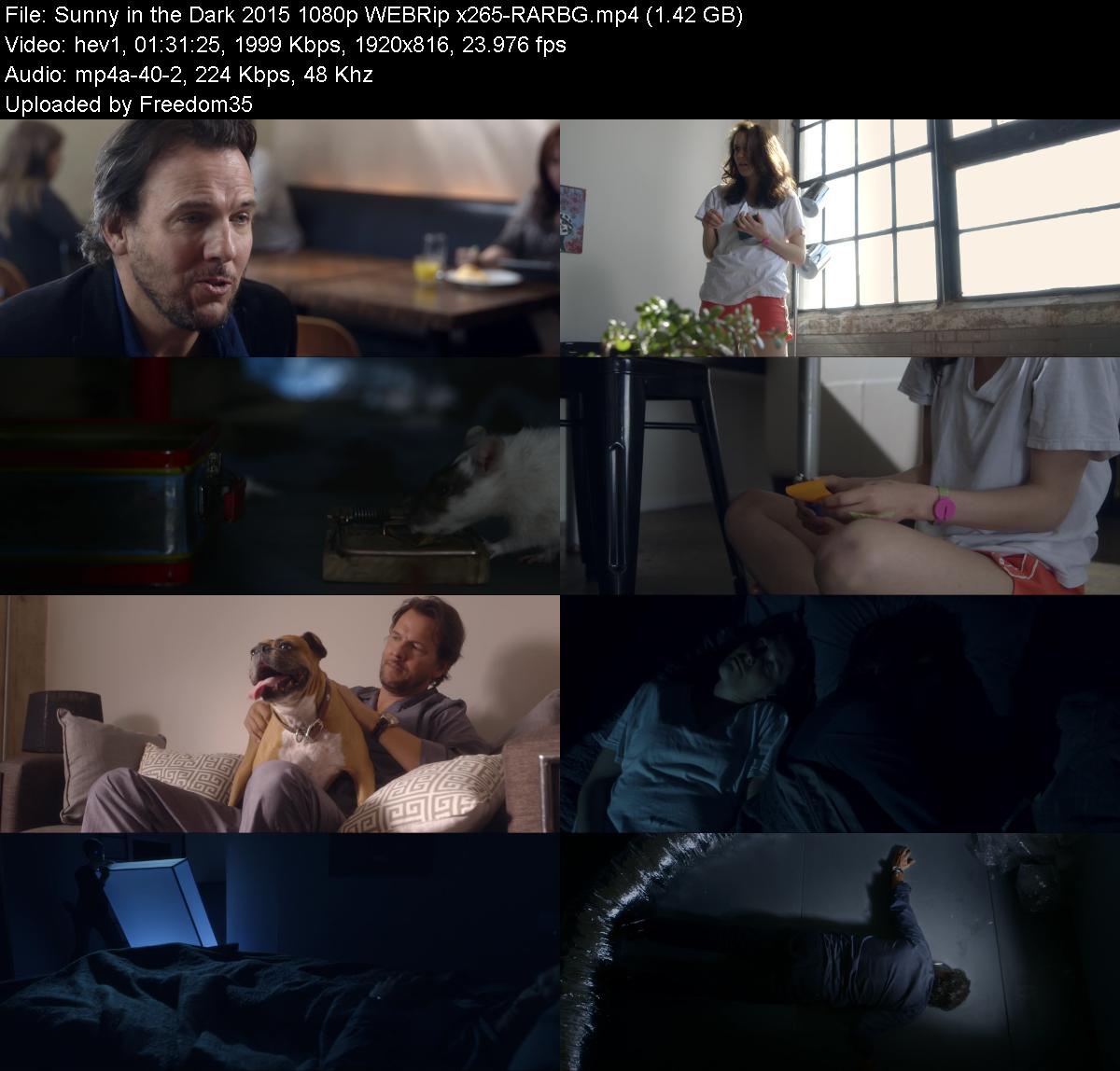 Sunny-in-the-Dark-2015-1080p-WEBRip-x265