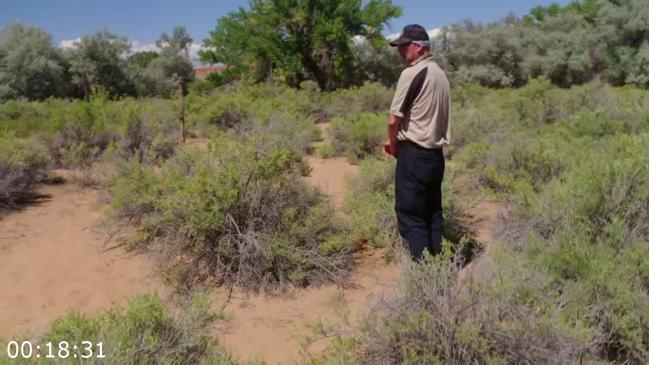 [Image: mpd75e3gea1w.jpg]