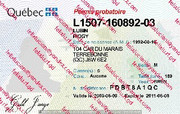 Canada - Québec (QC) Driving Licence_cleaned