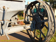 DSCN5852