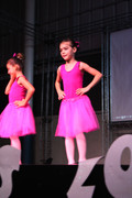 Apresentação de dança (Ballet) (113)