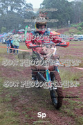 IMG-0174