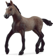 04 - Paso Peruano Foal