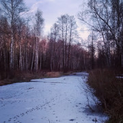 IMG_20141027_171622_resize