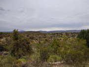 IMG-20250815-062529529