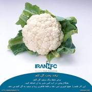 IRANHFC-Abas-Hosseini-Fast-Food-Setup (117)