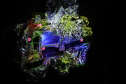 IMG-1801