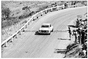 Targa Florio (Part 5) 1970 - 1977 - Page 7 1975-TF-92-Russo-Godolphin-002